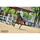 Konjeniški klub Vrtnica Nova Gorica