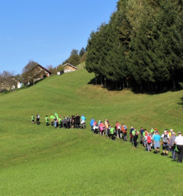 Aktivnosti in druženje z upokojenci mesta Škale