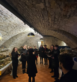 Nastop ženskega pevskega zbora Vipava, Goriška