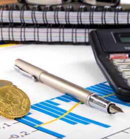 Računovodski servis za manjša podjetja Savinjska