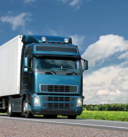 Kakovostni mednarodni hladilniški prevozi Dolenjska