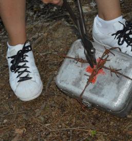 Teambuilding, pobeg v gozdu