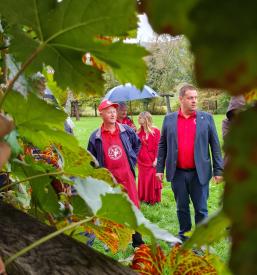 izobraževanje vinarstva Kostanjevica na Krki