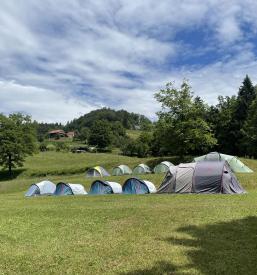 Ugoden poletni tabor na kmetiji za otroke