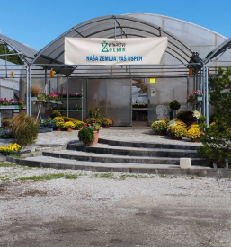 Zelenjavarstvo Celje, Savinjska