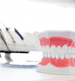 Zasebni zobozdravnik Novo mesto