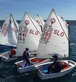 Jadranje Izola, Obala