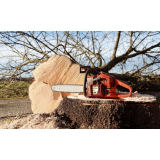 Zoran Trošt - nosilec dopolnilne dejavnosti na kmetiji