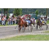 Konjerejsko društvo Krim