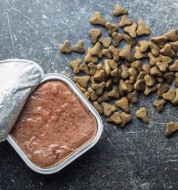 Prehranska dopolnila za domače živali Pomurje