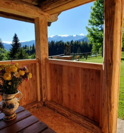 Poceni apartma na Pokljuki