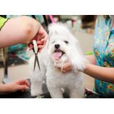 Edis Kos in člani d.n.o. Ljubljana