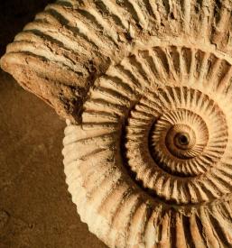 Dobro kamnoseštvo Kranj