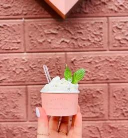 Ice cream Ljubljana