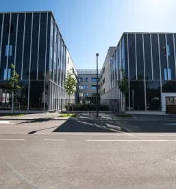 Ugodna proizvodnja stekel v Sloveniji