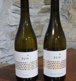 Kvalitetna vrhunska vina Vipavska dolina