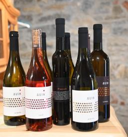 Vrhunska vina Vinarstva AVIN Vipava
