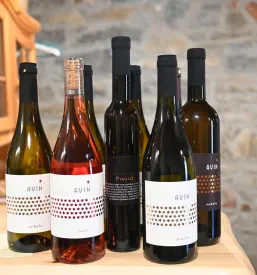 Vrhunska vina Vinarstva AVIN Vipava