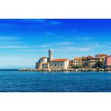 Aleš Kregar - sobodajalec