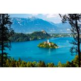 Apartma Peaceful Haven