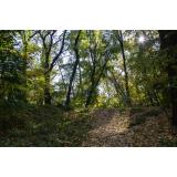 AGRARNA SKUPNOST ŽURGE