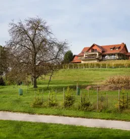 Turizem na podeželju Pomurje