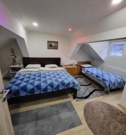 Najem apartmaja Kranj, okolica