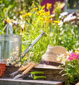 Ugodno urejanje zelenih površin Novo mesto