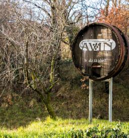 Kvalitetna vrhunska vina Vipava, Primorska