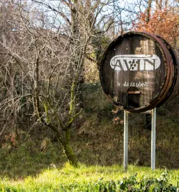 Kvalitetna vrhunska vina Vipava, Primorska