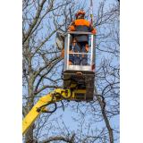 DNS, Denis Brvar s.p.