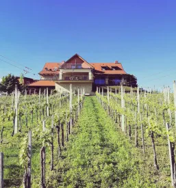 Kmečki turizem Ljutomer, Pomurje