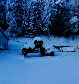 Muzej Mežica, Koroška