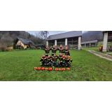 Prostovoljno gasilsko društvo Podbrdo