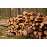 Stare Aleš - nosilec dopolnilne dejavnosti na kmetiji