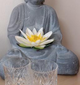 HBOT tretma Štajerska