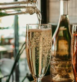 Ogled vinske kleti Bizeljsko, Dolenjska