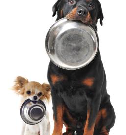 Hrana za male živali Savinjska