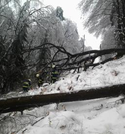 Prostovoljna gasilska društva