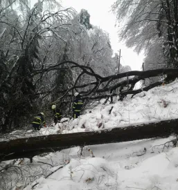 Prostovoljna gasilska društva