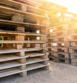 Kvalitetna embalaža iz lesa Slovenija