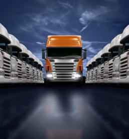 Kamionski prevozi Slovenija in Evropa