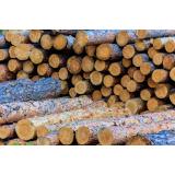 Željko Ignjić s.p.