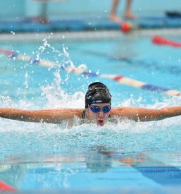 Športno plavanje delfin