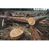 Storitve Lampe, Mitja Lampe s.p.