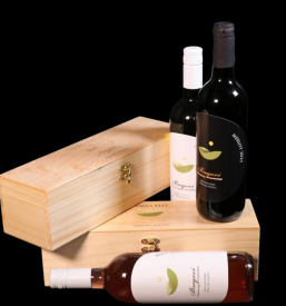 Vodeni ogledi vinske kleti, Vipavska dolina