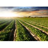 Breda Pestotnik - nosilka dopolnilne dejavnosti na kmetiji