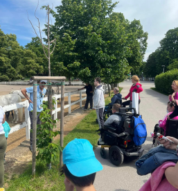 Osebna asistenca za izlete po Sloveniji