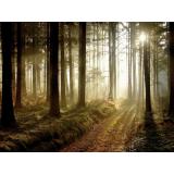 Agrarna skupnost Vrhpolje