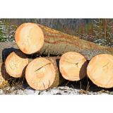 Agrarna skupnost Dražgoše in Selca-Dražgoše Pri Cerkvi